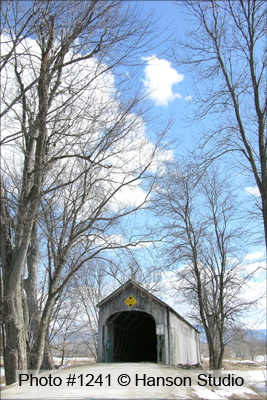 Cornwall, VT - Cedar Swamp Bridge - Vertical